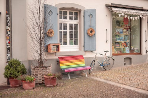 Immagine gratuita di albero, arcobaleno, bicicletta