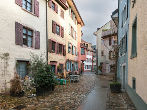 A cobblestone street with buildings and plants