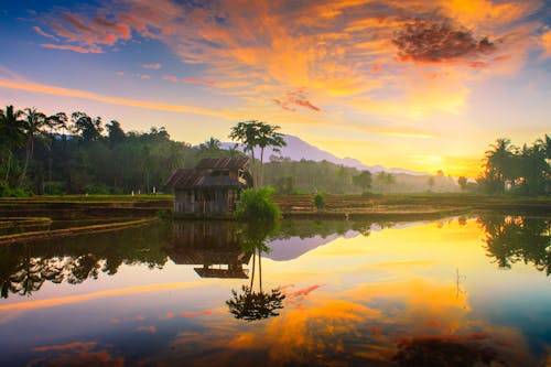 亞洲, 印尼, 反射 的 免費圖庫相片