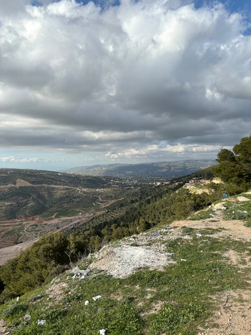 Foto d'estoc gratuïta de arbustos, muntanya, natura