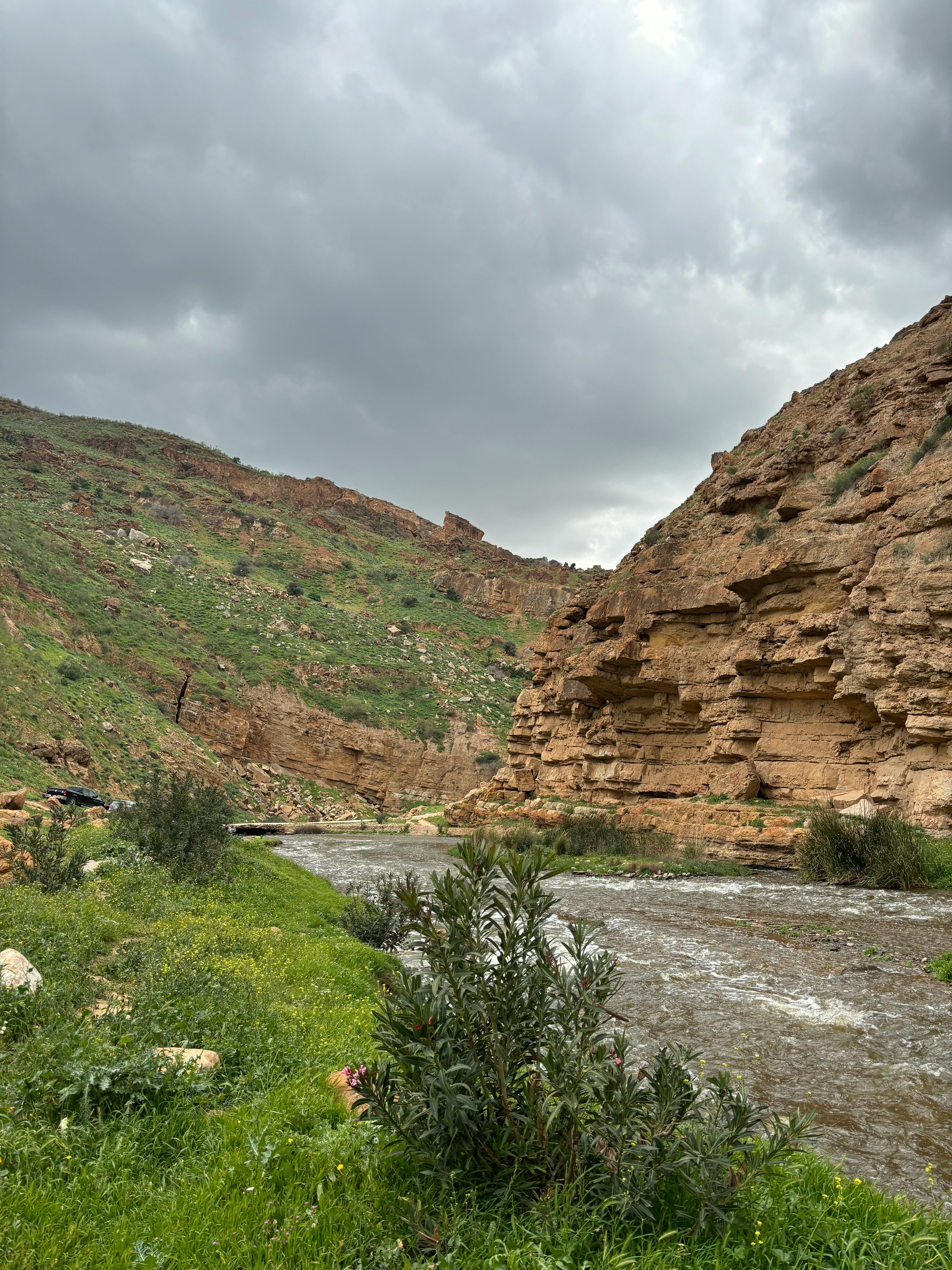 Explore the serene landscape of Ajlun, Jordan with its flowing creek and rugged cliffs under a cloudy sky.