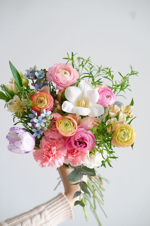 Free Vibrant spring bouquet held up by a hand against a white background, showcasing a variety of colorful flowers. Stock Photo