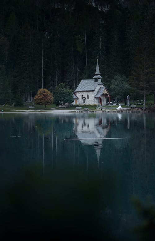 คลังภาพถ่ายฟรี ของ คาทอลิก, ต้นไม้, ทะเลสาป