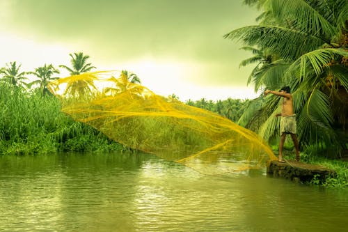 Fotos de stock gratuitas de kozhikode, peces, pescador