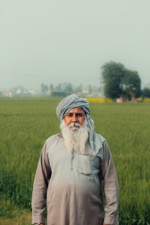 Elderly Man in Turban Standing in a Rice Field 
