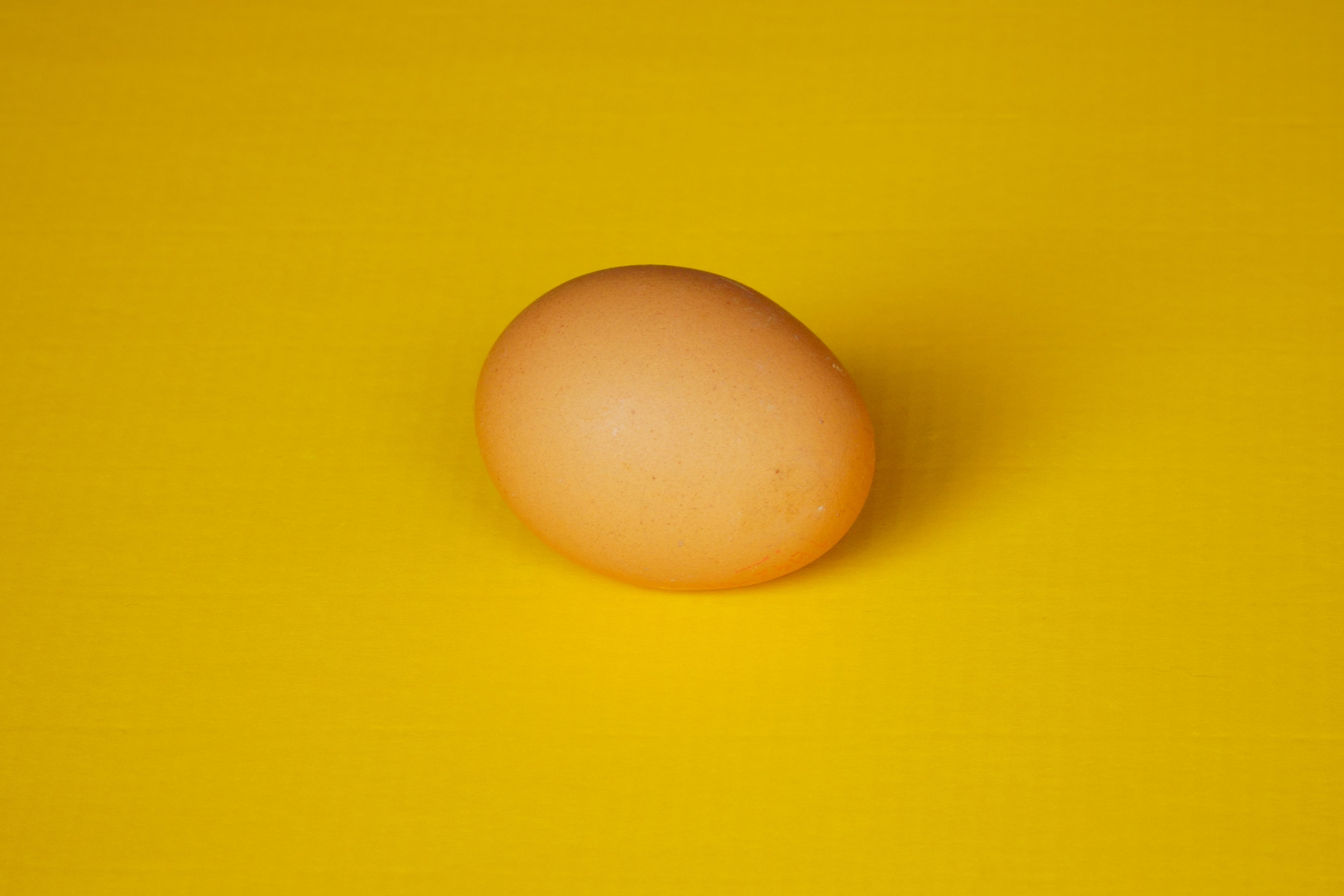 Brown egg on a vibrant yellow backdrop, perfect for food and still life photography.