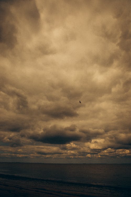 구름 낀 하늘, 드라마틱한, 바다의 무료 스톡 사진