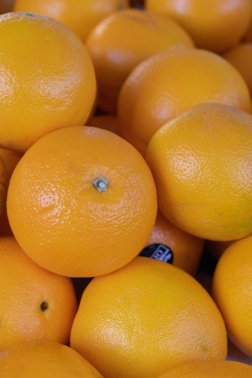 Free Bright and fresh oranges on display at Freiburg market, showcasing healthy, vibrant citrus fruits. Stock Photo
