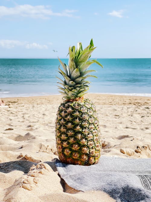 Gratis stockfoto met ananas, oceaan, strand