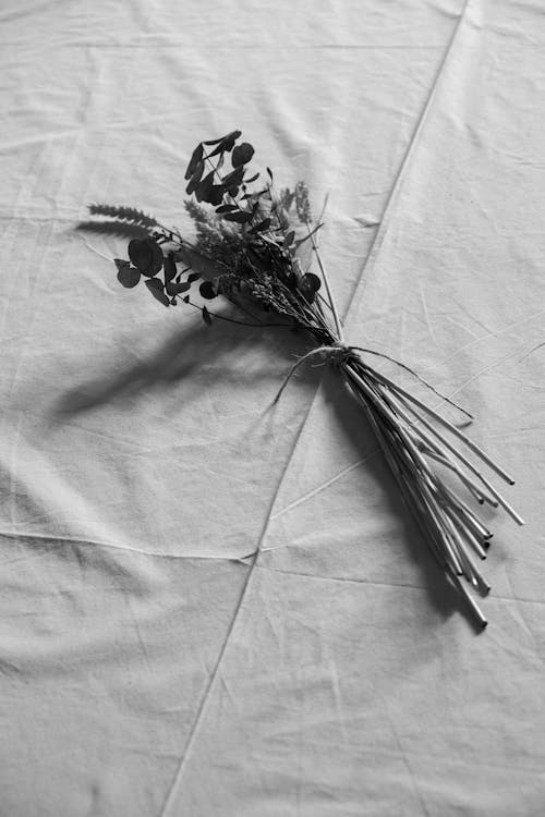 A black and white photo of a bouquet of flowers