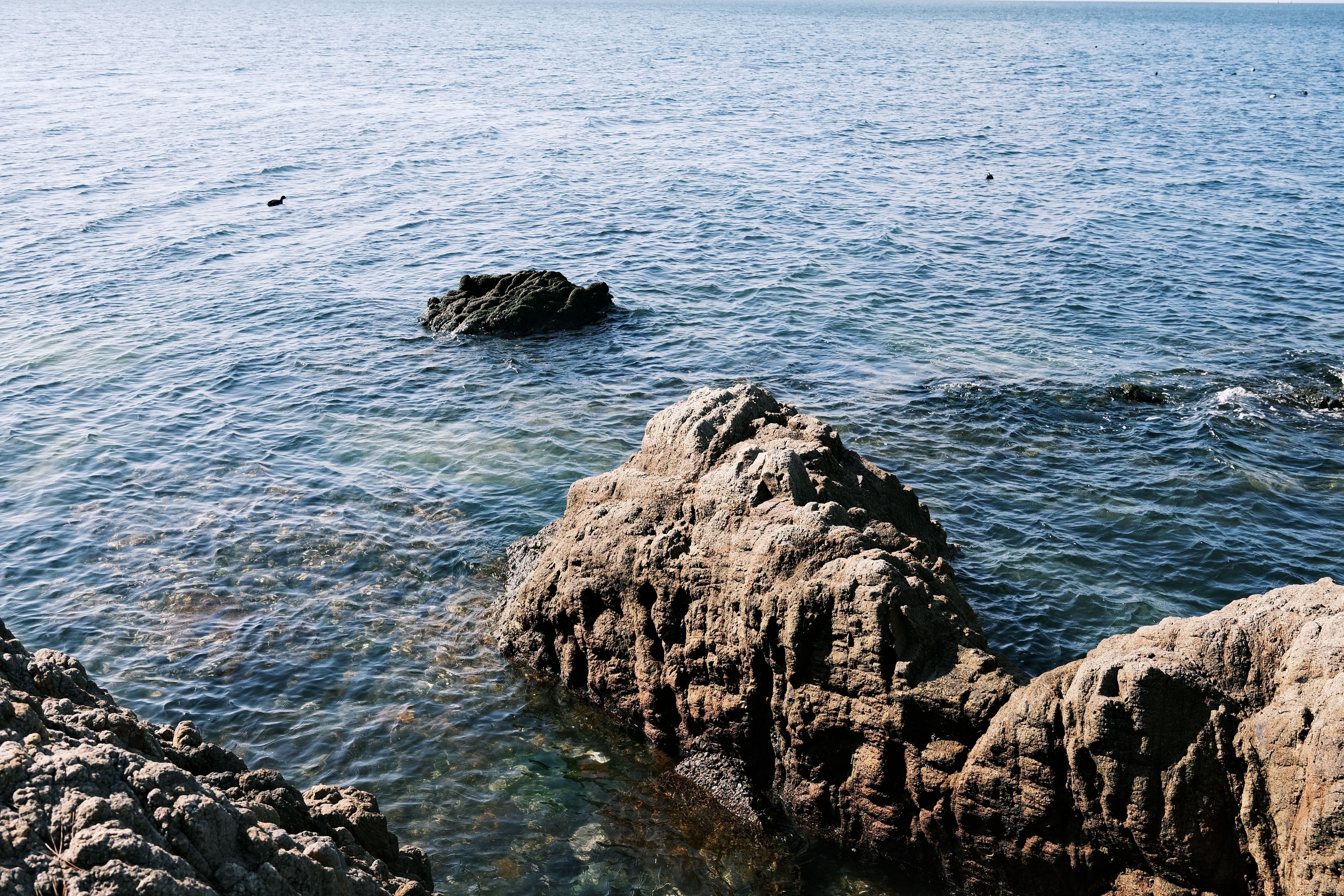 View of a Rocky Shore and Blue Water · Free Stock Photo