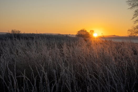 Serene sunrise over frosty rural field in West Newton, MN