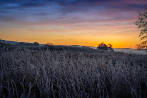 A sunset over a field with frost on the grass