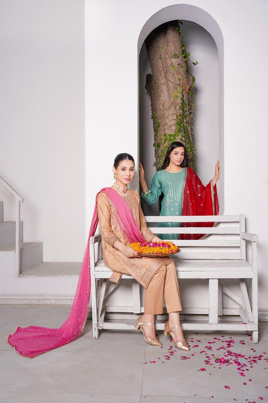 Traditional Pakistani Dresses Dress