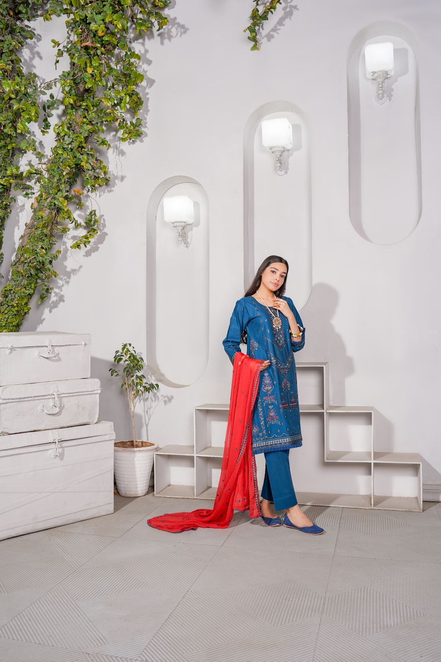 Stylish Traditional Dress
