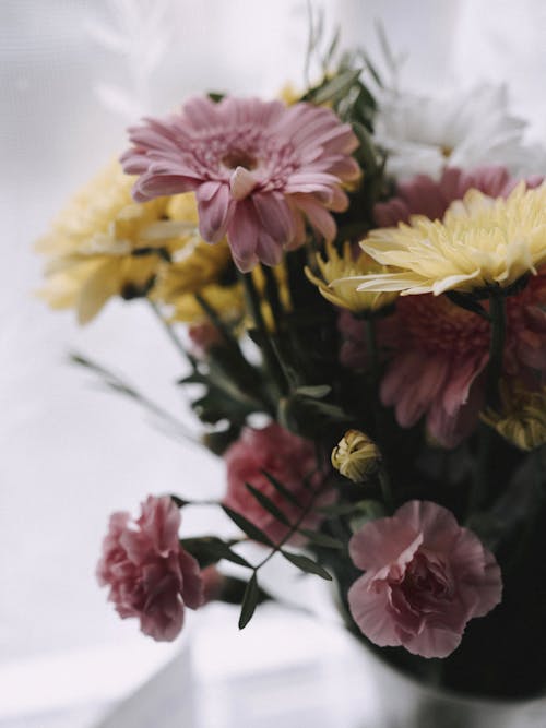 Gratis stockfoto met anjers, bloemen, bloemstuk
