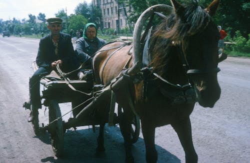 Foto profissional grátis de aldeia, aldeias, andar a cavalo