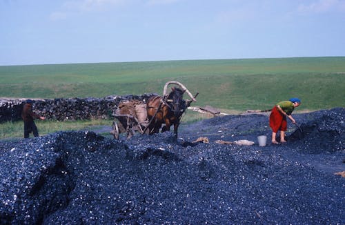 Woman and Man Working on Stones Heap in Countryside