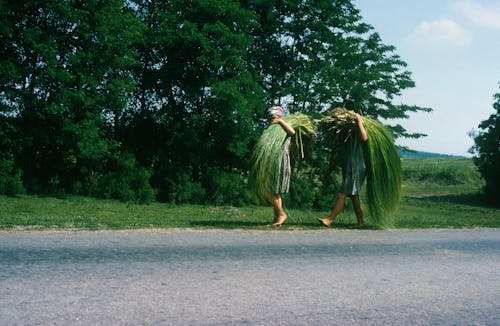 People Carrying Crops on Road