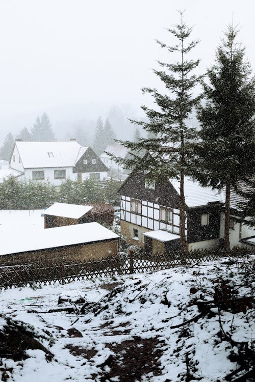 Snow and Fog in Village in Winter