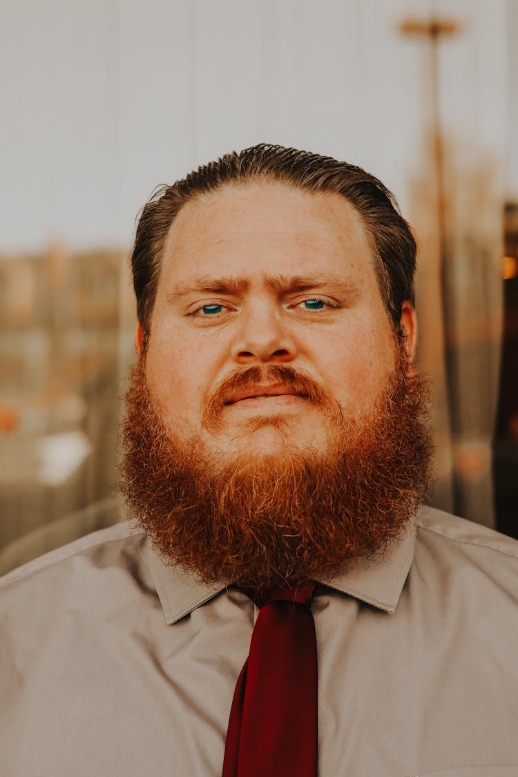 Portrait Of Elegant Man With A Beard 