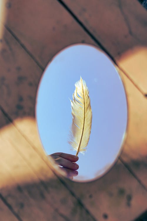 Reflection of Hand Holding Feather in Mirror