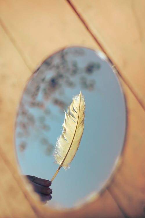 A person holding a feather in front of a mirror