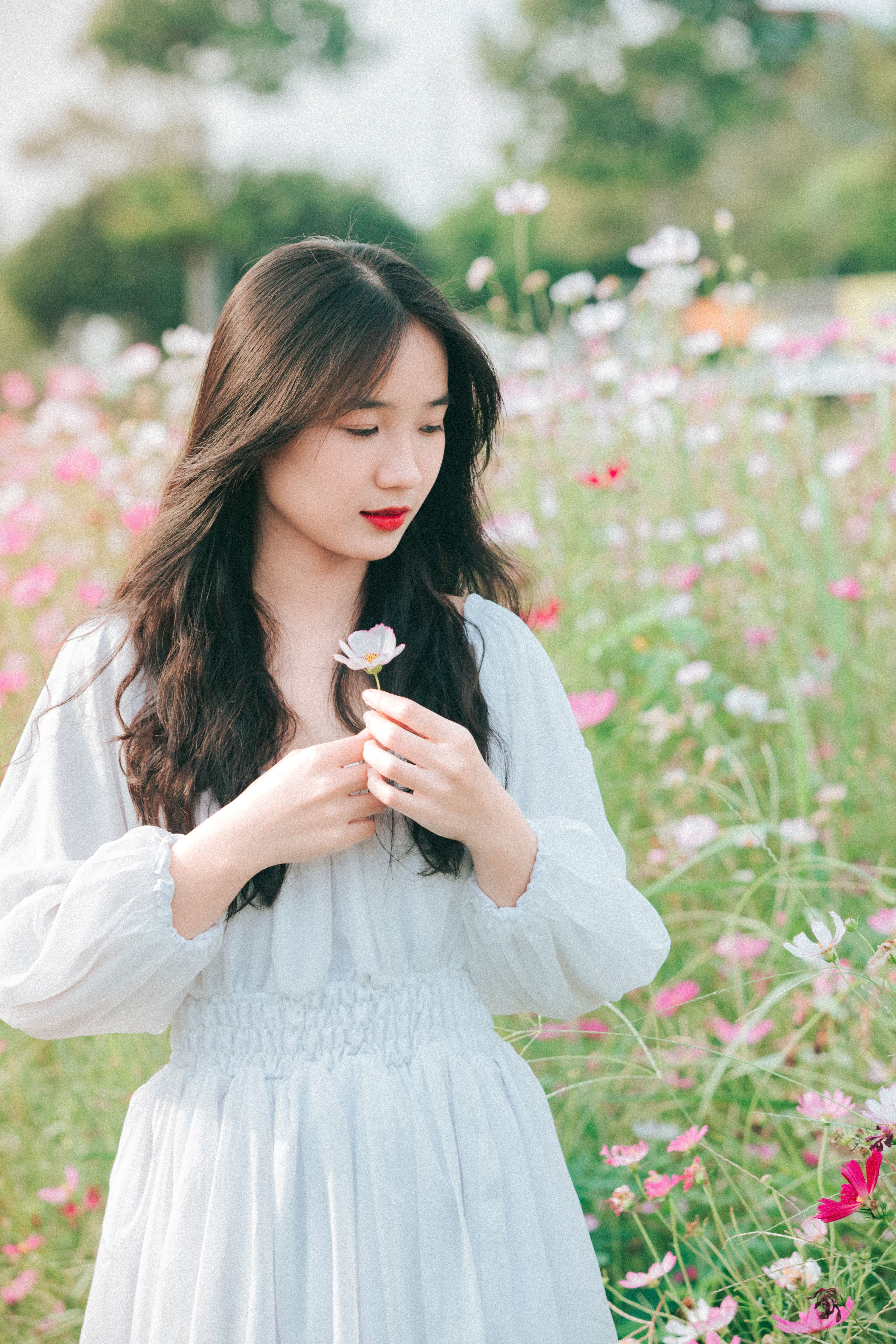 Woman in White Dress on Meadow · Free Stock Photo