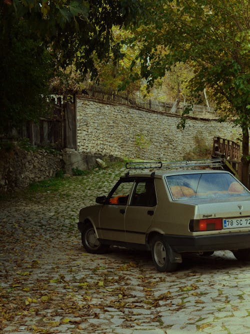 Ingyenes stockfotó autó, esés, fák témában
