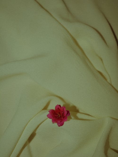 A pink flower on a yellow fabric
