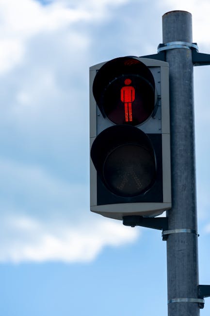 Traffic Violations Eligible for Payment