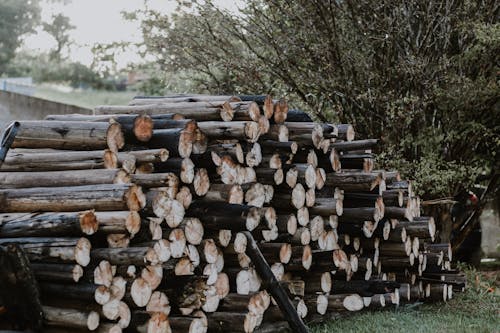 A pile of logs sitting in the grass