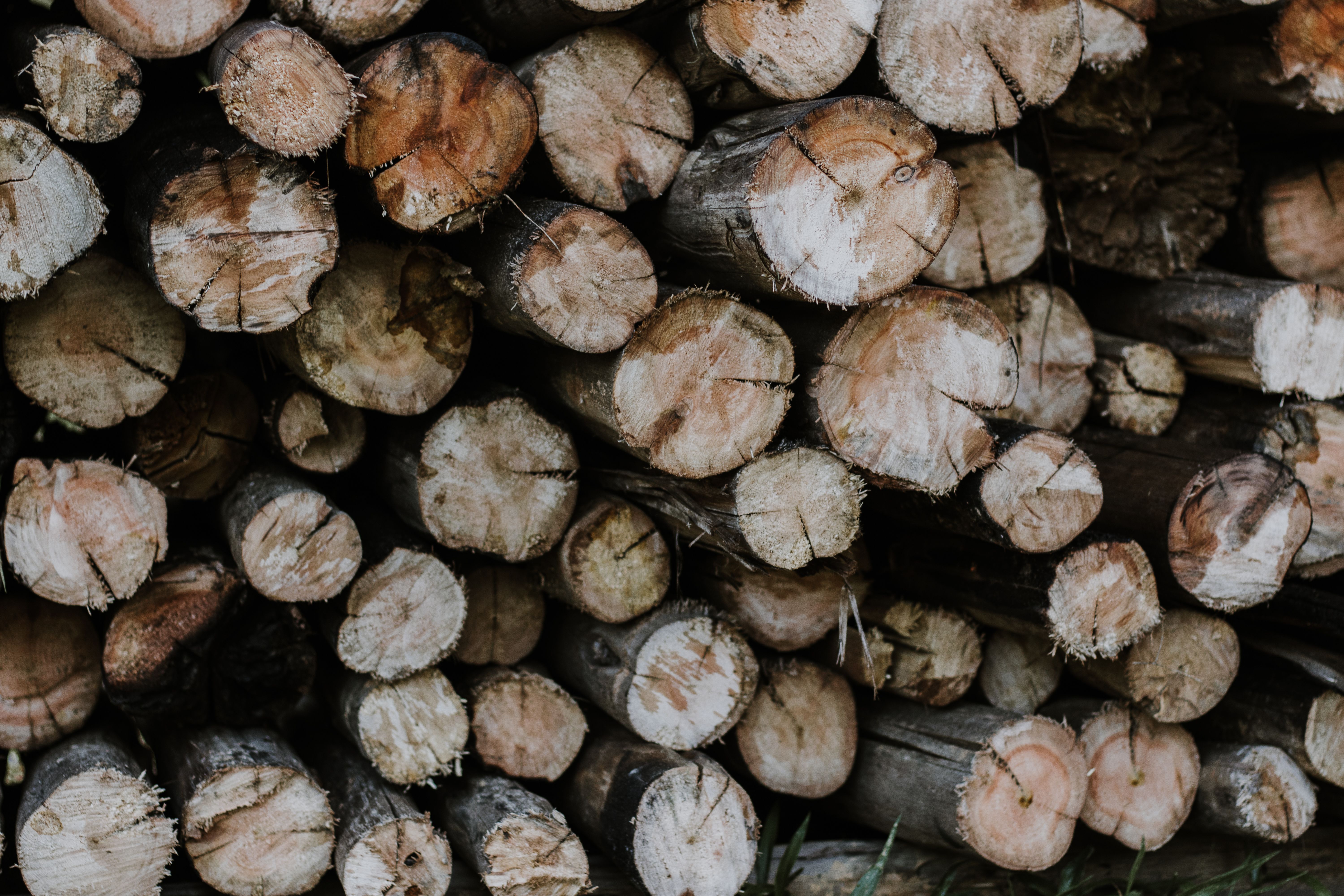 Timber Processing and Manufacturing