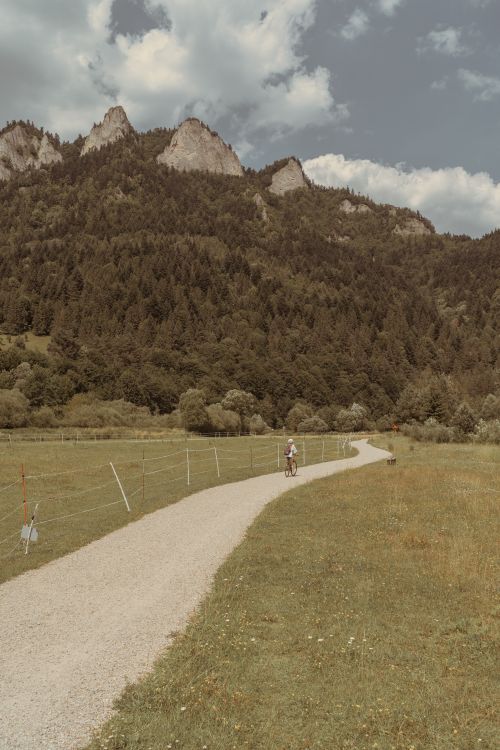 Free A lone cyclist rides along a peaceful country road with a stunning mountain backdrop in Sromowce Niżne, Poland. Stock Photo