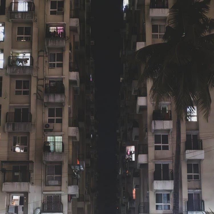 A city street at night with buildings and palm trees