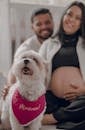 Pregnant Woman and Man behind Dog in Bib