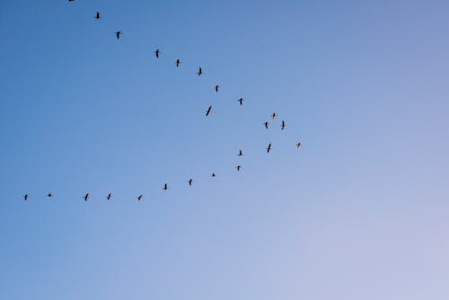 Ingyenes stockfotó kék ég, színes égbolt témában