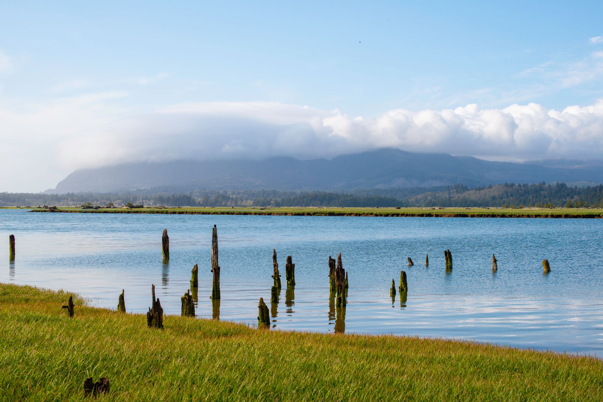 Peaceful river landscape in Wheeler, Oregon with distant mountains and clouds.