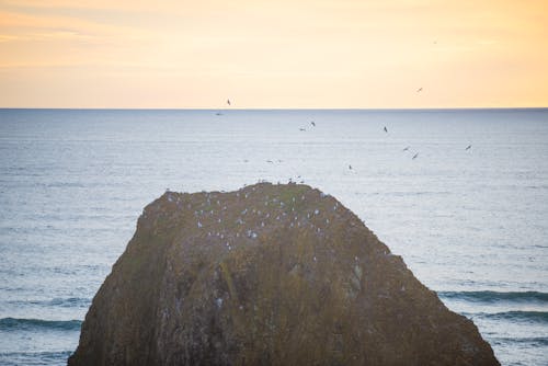 Ingyenes stockfotó kék óceán, kőköteg, strand naplemente témában