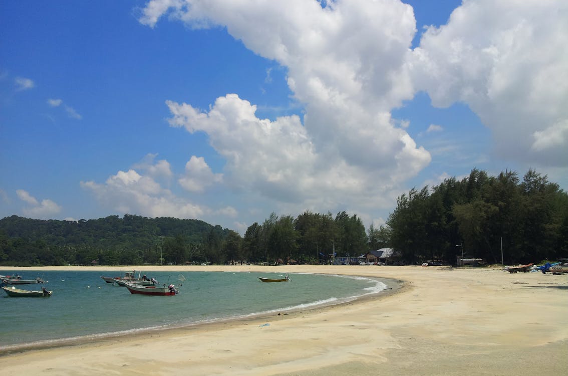 pulau komodo