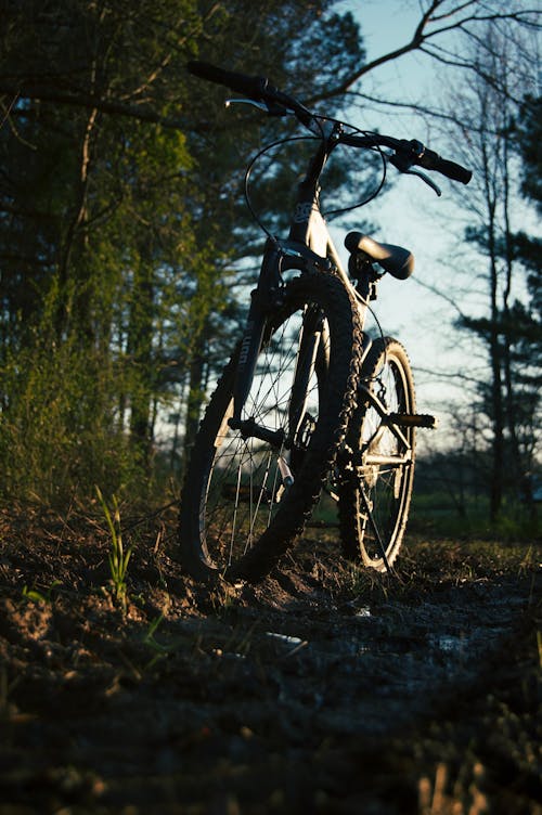 Foto profissional grátis de bicicleta, campo, estrada de terra