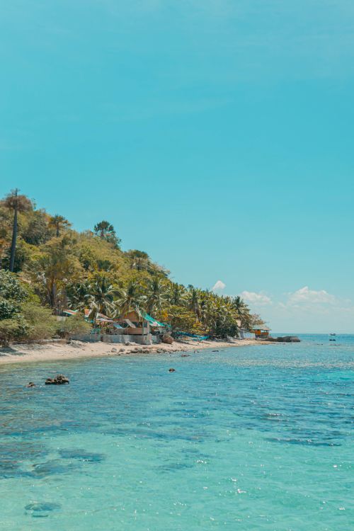Free Idyllic tropical beach scene with clear turquoise waters and lush palm trees under a bright blue sky. Stock Photo