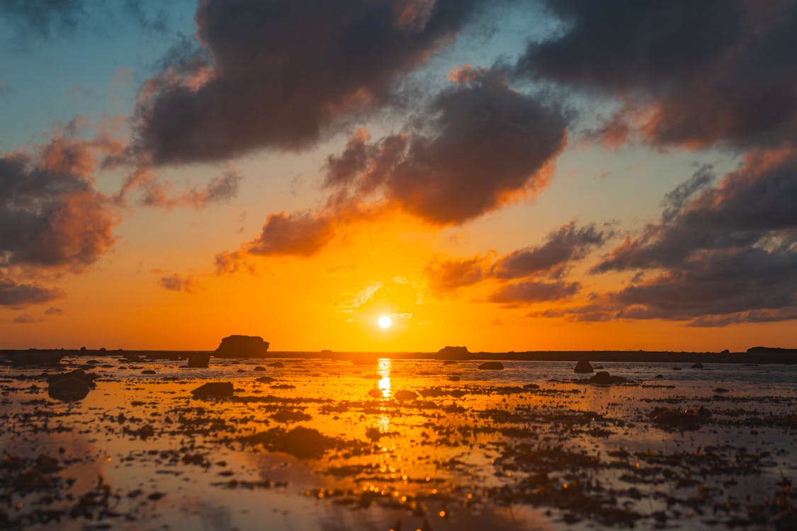 Безкоштовне стокове фото на тему «березі моря, відображення, Захід сонця»