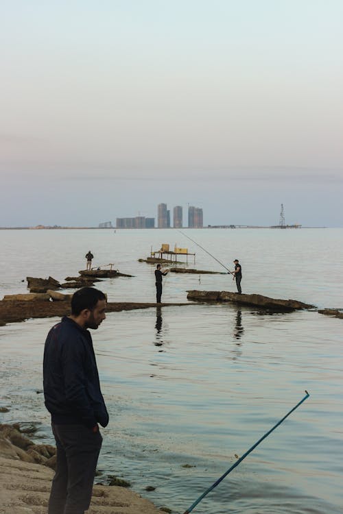 Ingyenes stockfotó azerbajdzsán, baku, hal témában