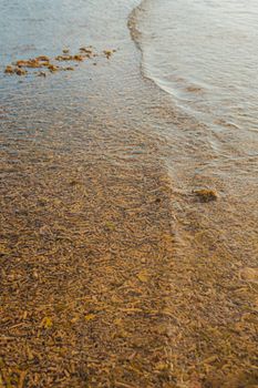 A peaceful beach with shallow waves gently washing over the sandy shore at sunset.