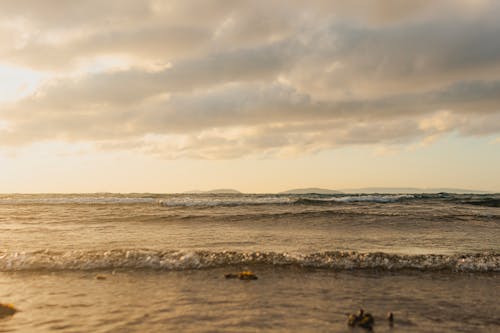 天性, 岸邊, 日落 的 免费素材图片