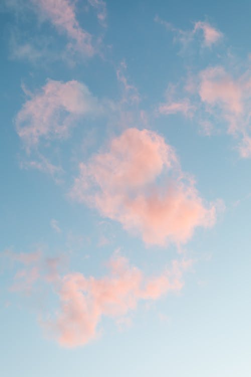 A pink cloud is seen in the sky