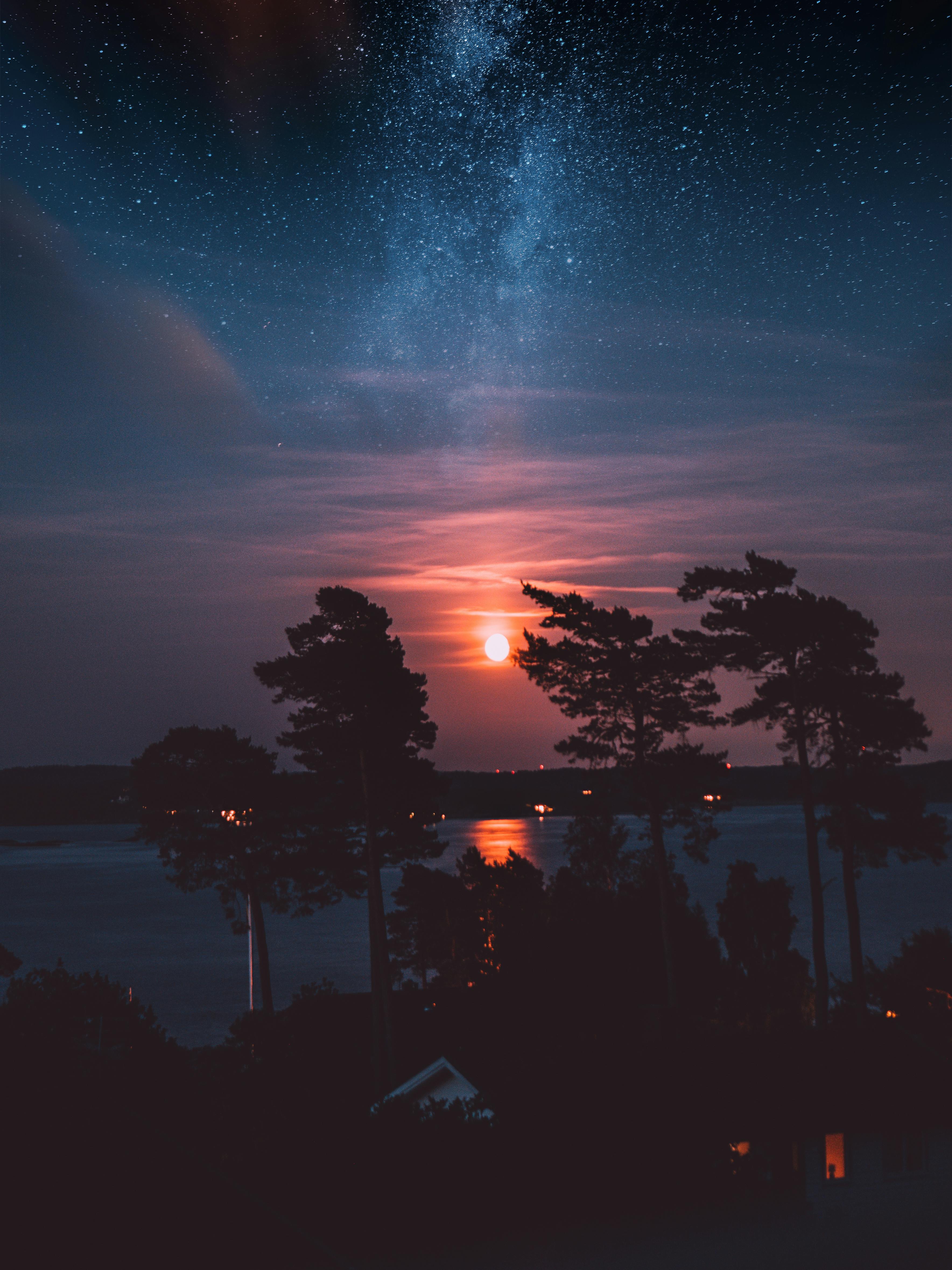 星空下，树木的剪影与银河系在瑞典湖泊中的倒影交相辉映