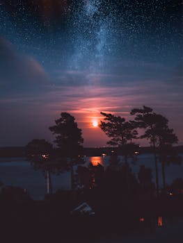 星空下，树木的剪影与银河系在瑞典湖泊中的倒影交相辉映