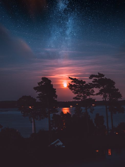 Silhouette of trees under a starry sky with Milky Way and reflection on a Swedish lake.
